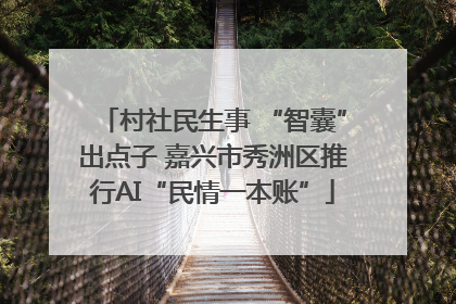 村社民生事 “智囊”出点子 嘉兴市秀洲区推行AI“民情一本账”